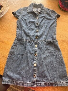 GAP AXS Denim Button-Front Dress in Blue
